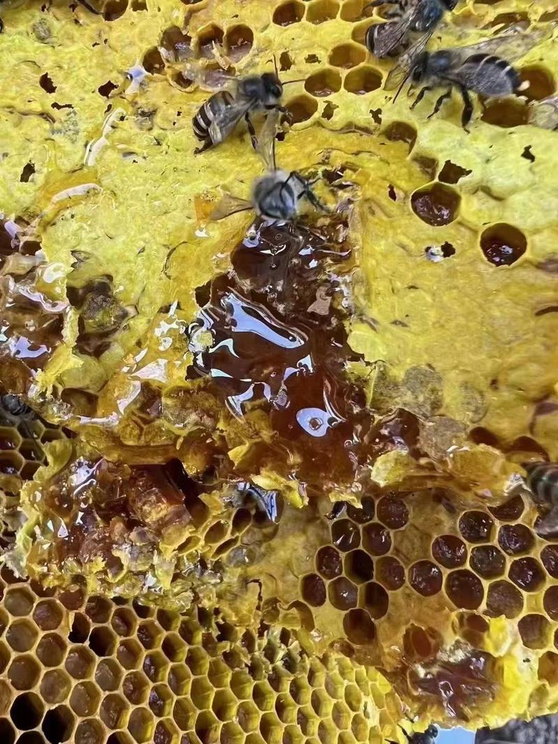 精品蜂蜜大量供应天然无添加量大从优欢迎选购