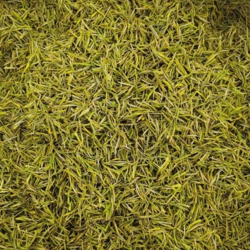 湖北恩施咸丰富硒茶，大量有货，欢迎各大采购商、批发商联系