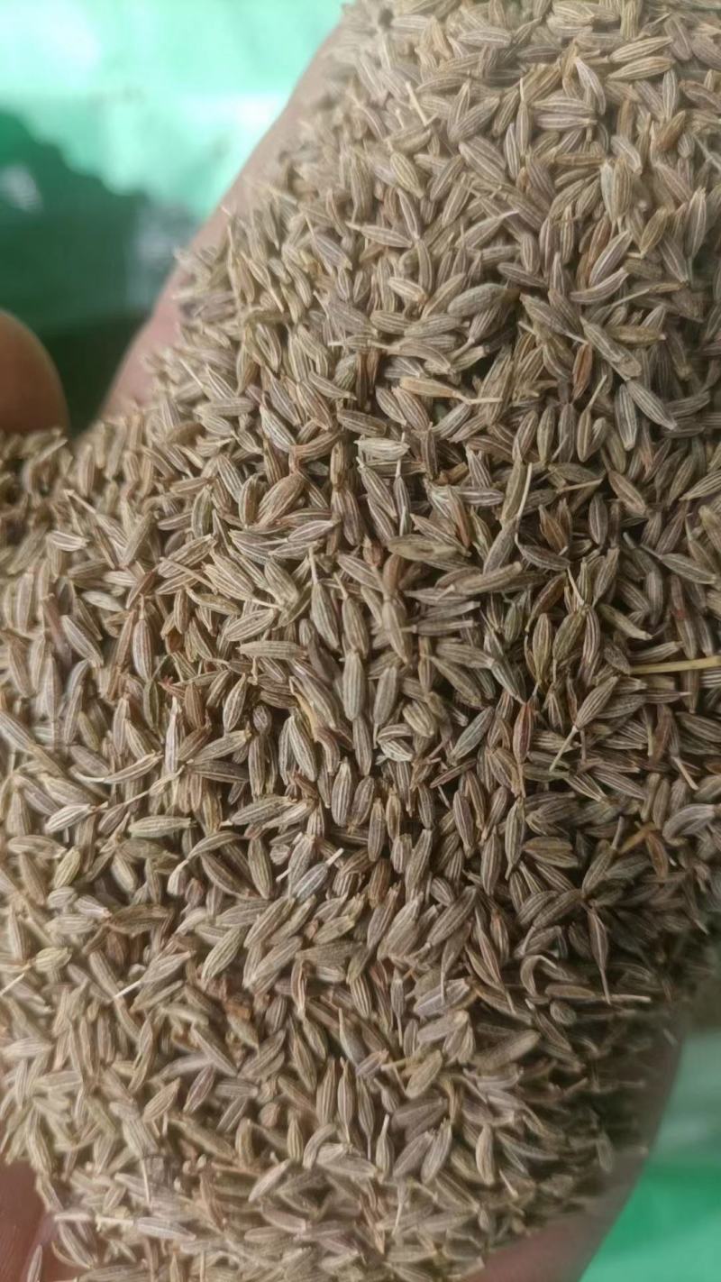 烧烤孜然碎热卖推荐/食品厂腌制专用、烧烤必备/味香浓郁常