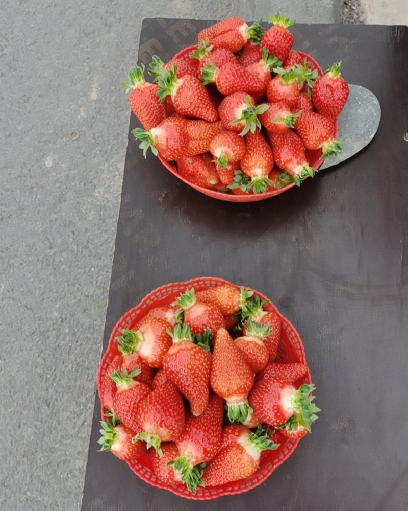 爱莎草莓