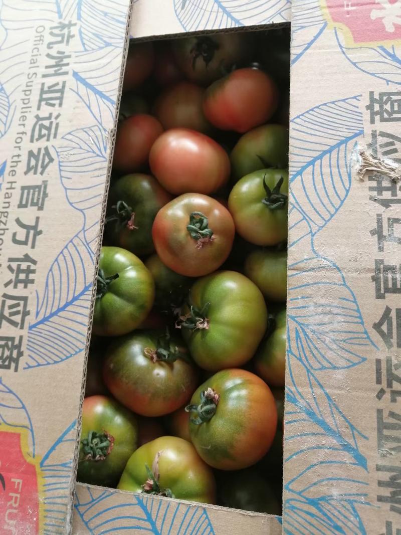 铁皮水果柿子