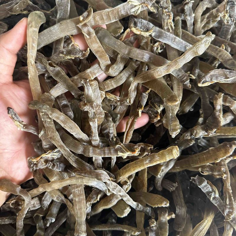 北海特产灰沙虫干沙虫无沙一手货源批发