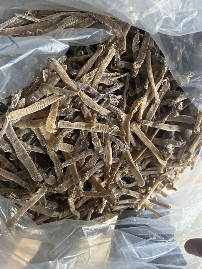 北海特产灰沙虫干沙虫无沙一手货源批发
