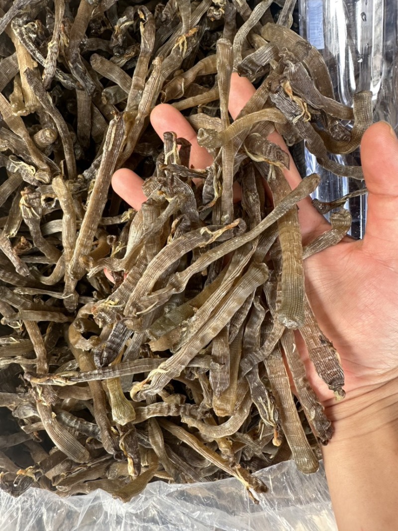 北海特产灰沙虫干沙虫无沙一手货源批发