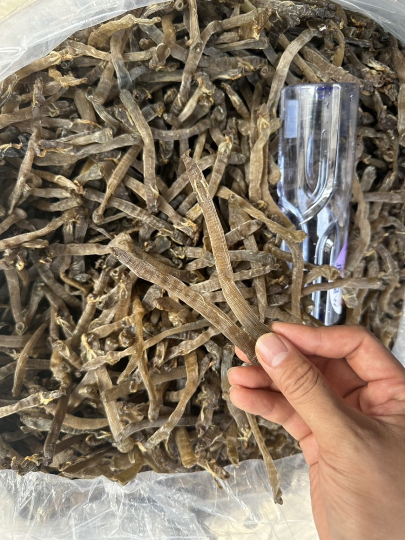北海特产灰沙虫干沙虫无沙一手货源批发