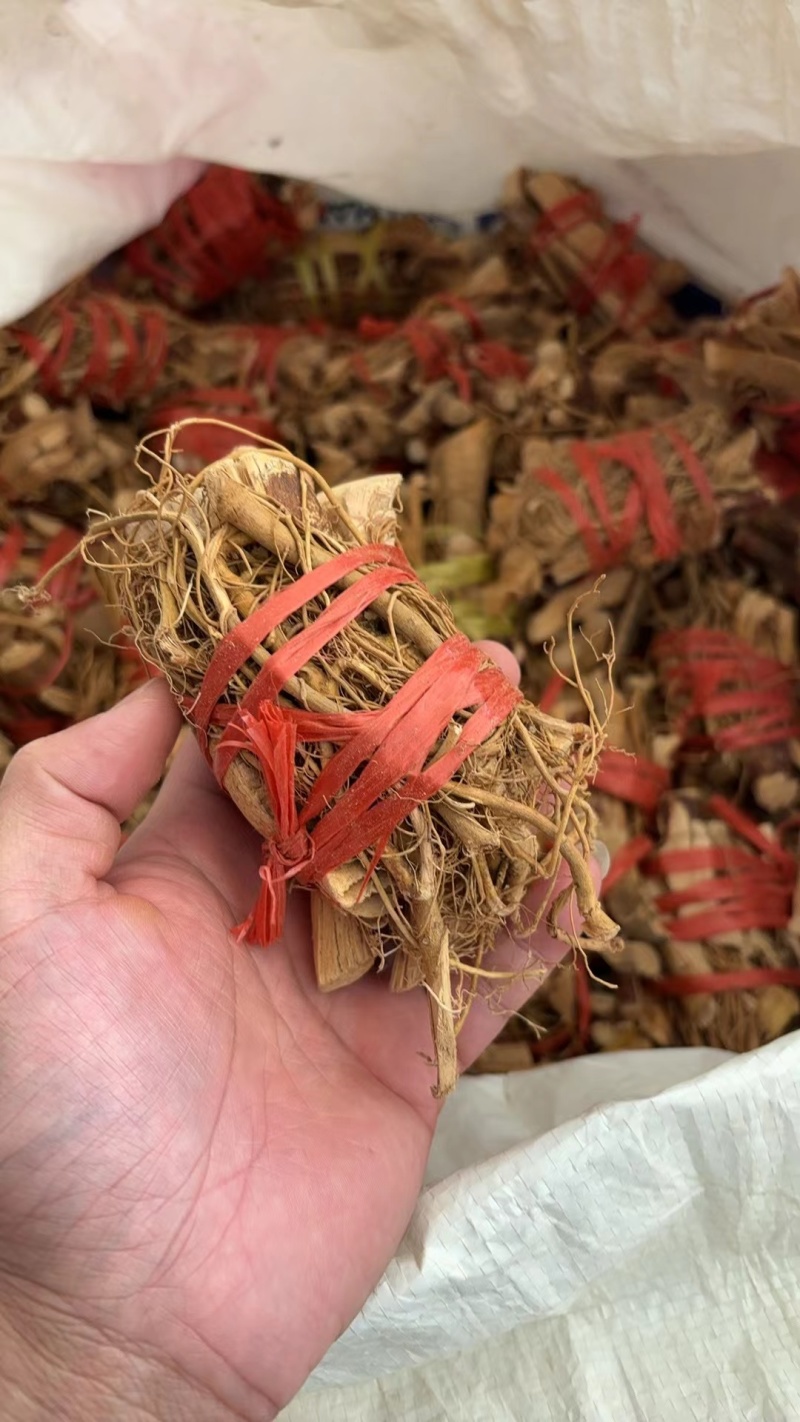 白花牛奶根