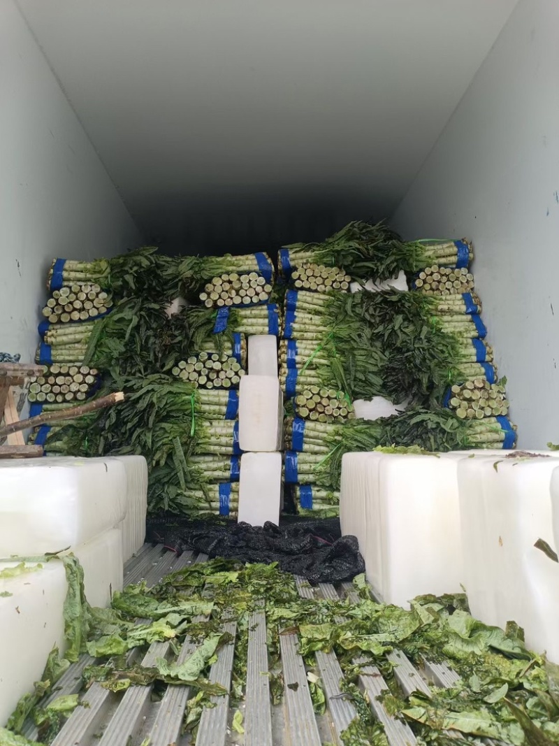莴笋红叶莴苣莴笋批发新鲜香莴笋家种蔬菜新鲜蔬菜批发莴笋新