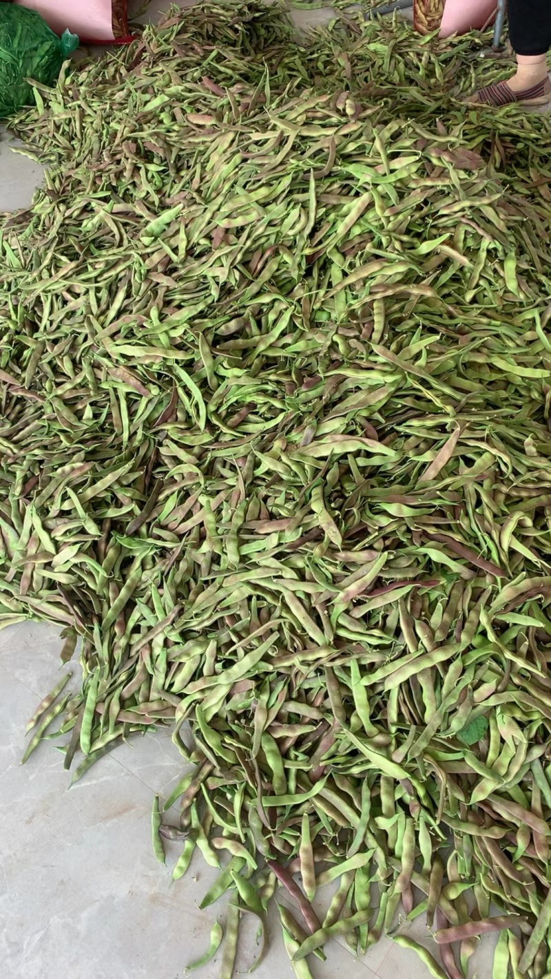 油豆