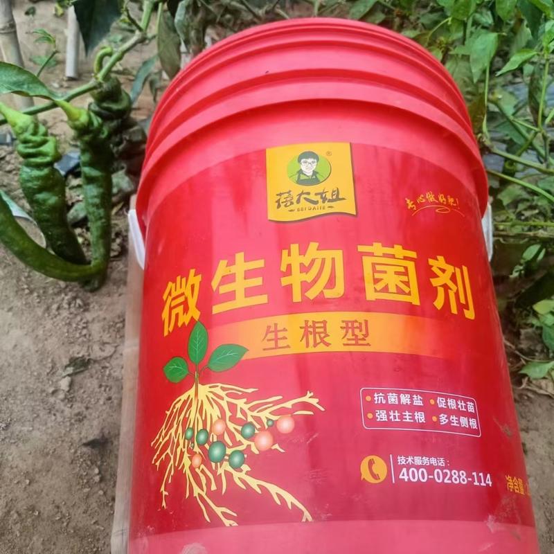 生根型桶肥厂家直销生根防病抗盐碱除板结活化土壤