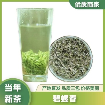 碧螺春特级新茶，茶农亏本促销，浓香特级明前芽茶