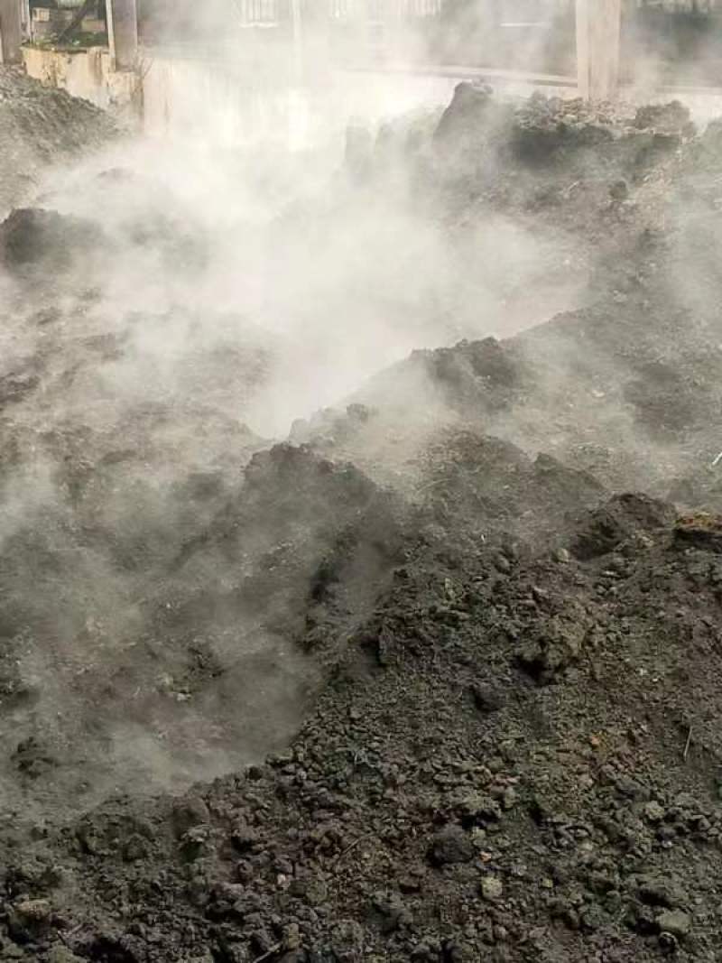 发酵鸡粪