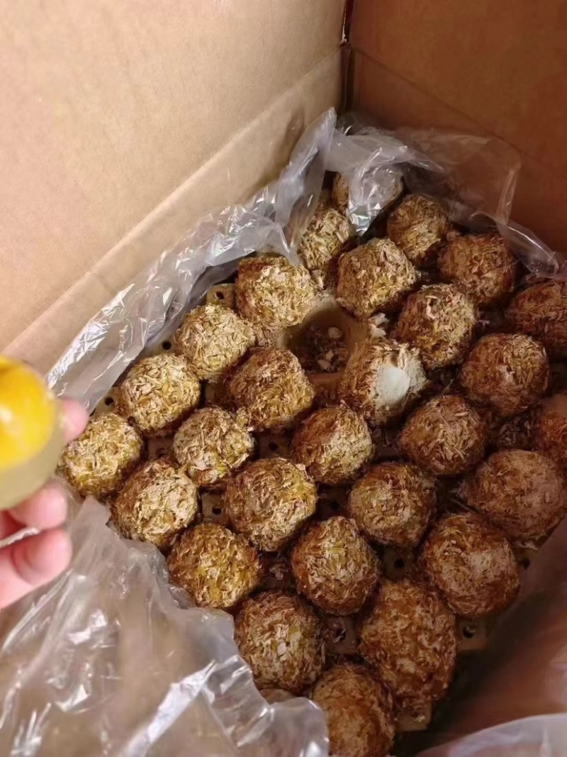 鸡皮蛋松花鸡皮蛋晶莹剔透现货批发