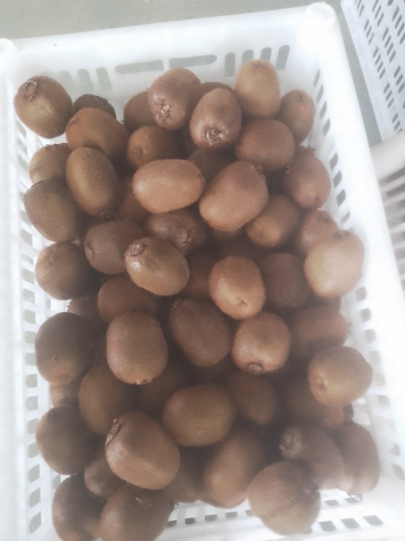 正宗陕西徐香猕猴桃即食削皮可吃，五一期间全部优惠价格全网