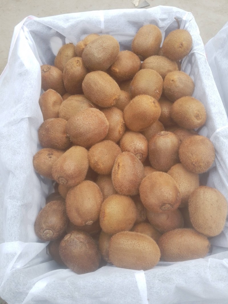 正宗陕西徐香猕猴桃即食削皮可吃，五一期间全部优惠价格全网
