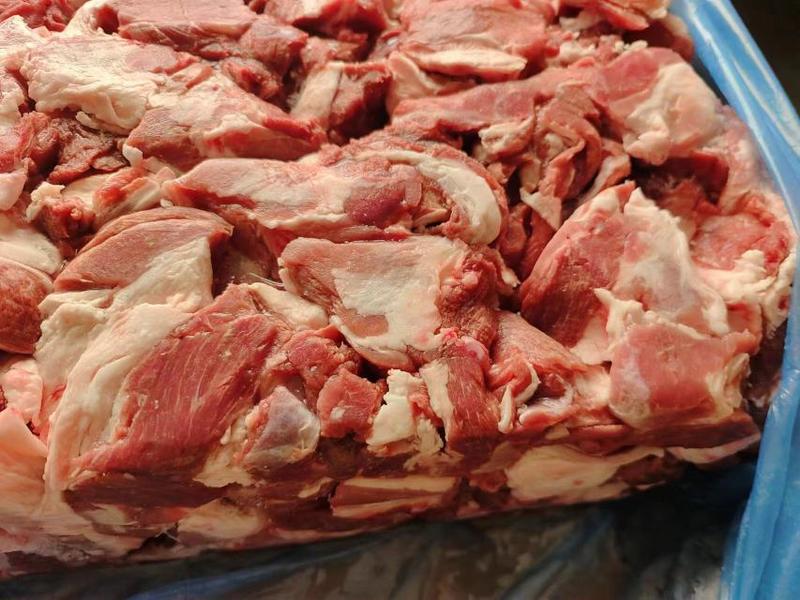 羔羊肉块，穿串，炖羊肉，切片羊汤，干煸孜然都可以