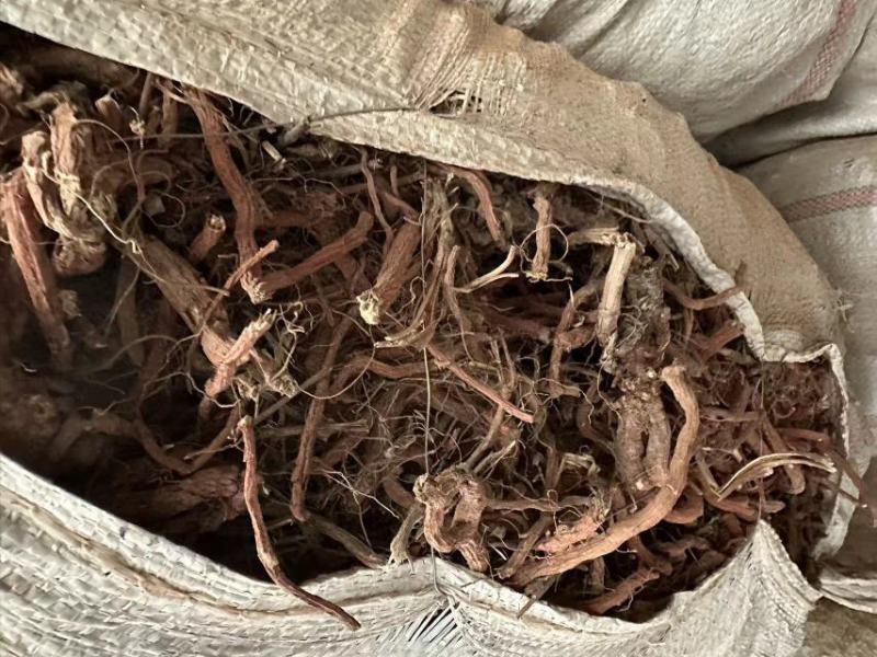 甘肃【精品】丹参大量供应，量大从优，价格美丽甘肃产地直发