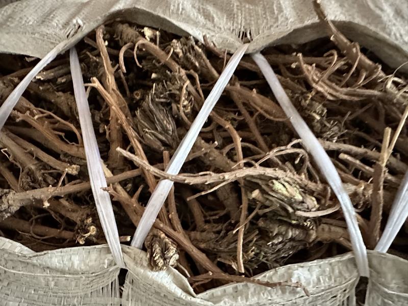 甘肃【精品】丹参大量供应，量大从优，价格美丽甘肃产地直发