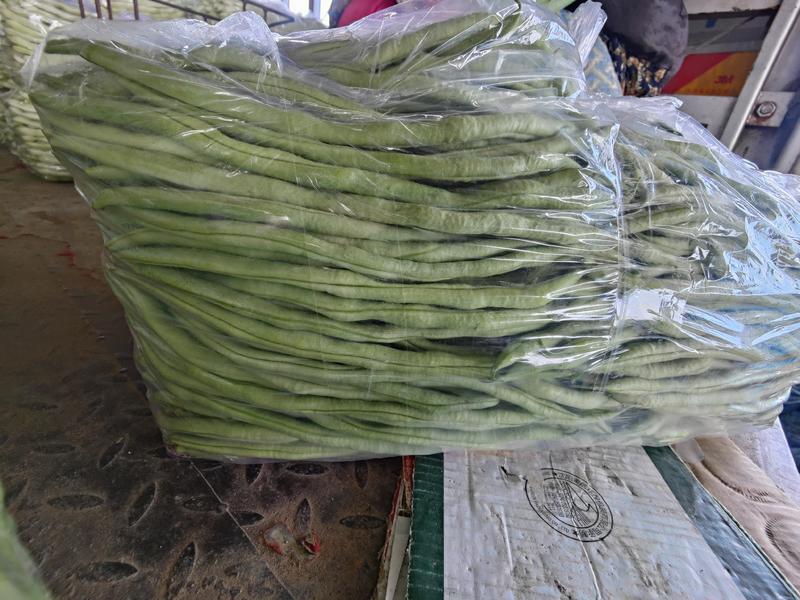 山东精品白芸豆《不不老》大量上市中，质量好，价格便宜，