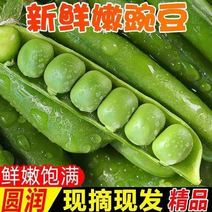 新鲜甜豌豆荚白豌豆多多买菜超市青豌豆工厂豌豆