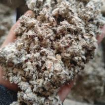 新疆优质长绒棉壳