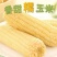 产区直发速冻白糯玉米黄糯玉米，货源充足保质保量，欢迎采购
