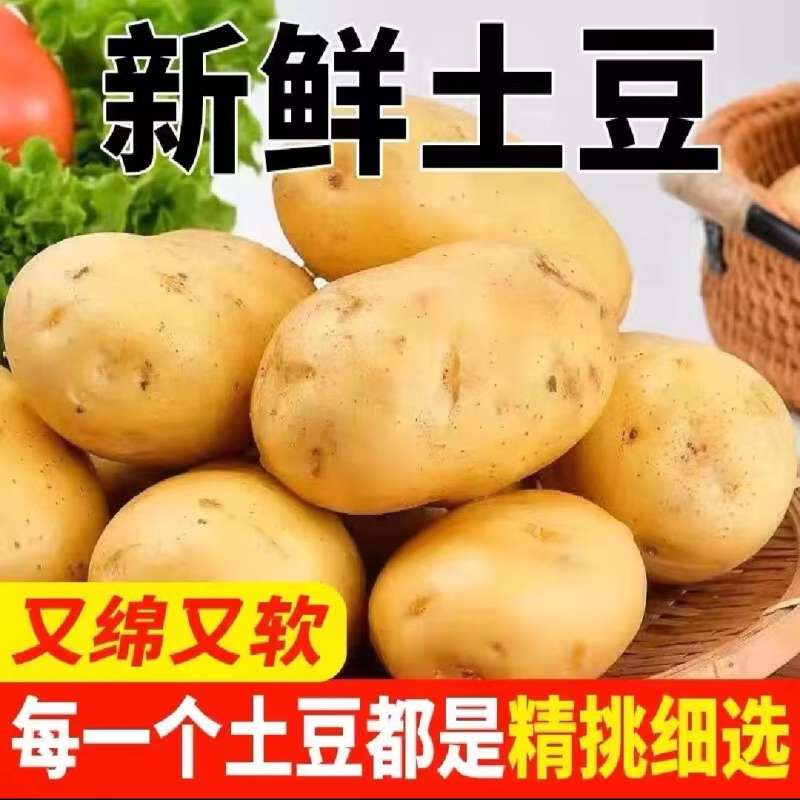 湖黄皮黄心土豆超市电商土豆工厂土豆洋芋希森沃土土豆