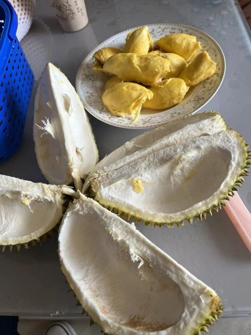 供应优质榴莲甲仑