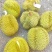 供应优质榴莲甲仑