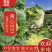 【湖北恩施黄心大白菜】无烧心无台无虫眼,品质好货产区直发