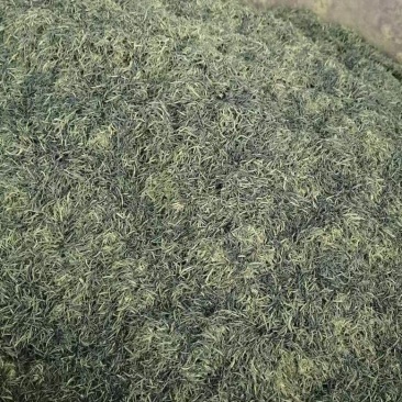 杜仲雄花杜仲雄花茶杜仲雄花干货野生正品产地大量供应