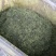 杜仲雄花杜仲雄花茶杜仲雄花干货野生正品产地大量供应