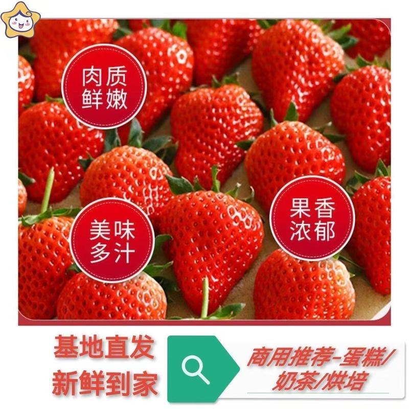 云南夏季草莓