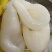 鸡蛋胶鱼胶缅甸花胶精品货花胶蝴蝶胶孕妇滋补品
