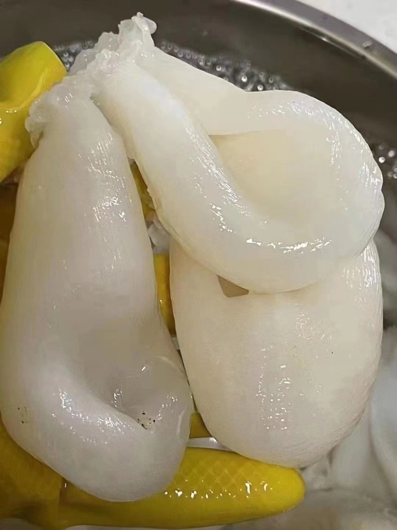 鸡蛋胶鱼胶缅甸花胶精品货花胶蝴蝶胶孕妇滋补品