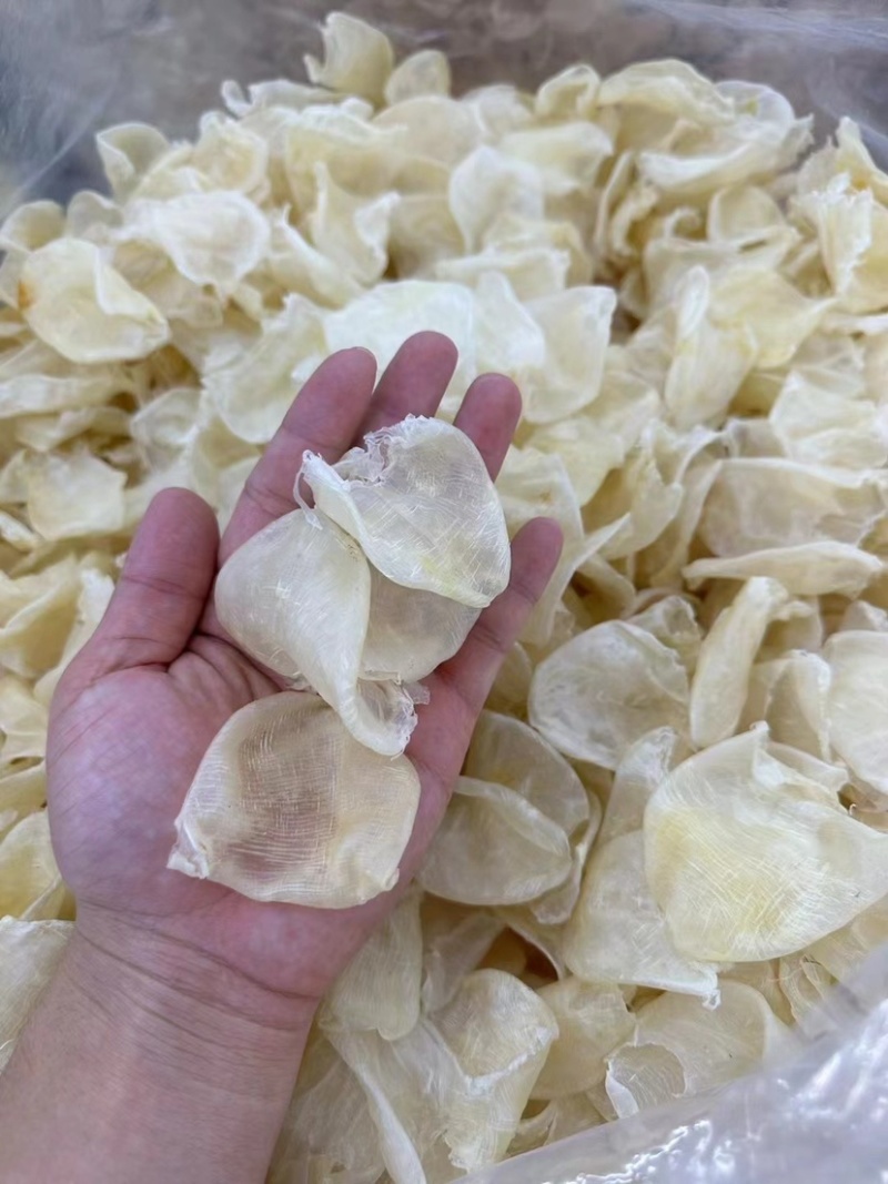缅甸鸡蛋胶花胶鱼胶批发一手货源火锅店专用花胶清水足干货