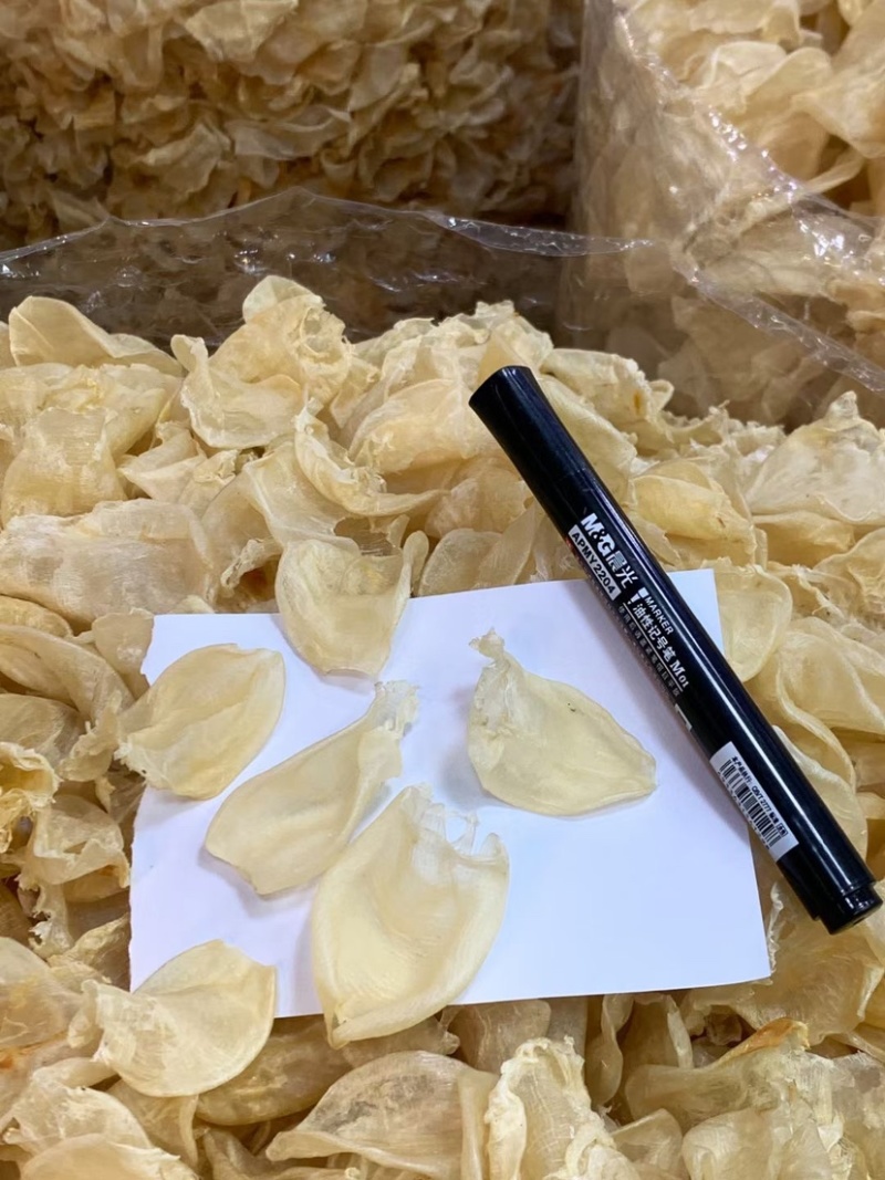 缅甸鸡蛋胶花胶鱼胶批发一手货源火锅店专用花胶清水足干货
