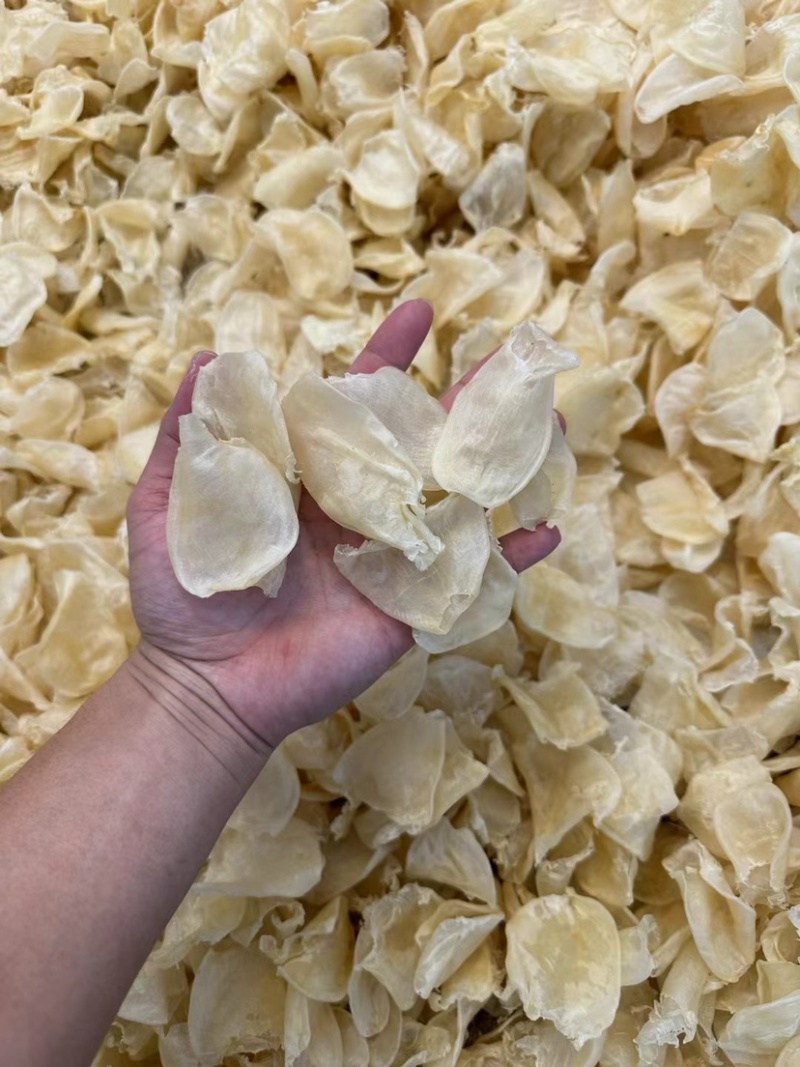 缅甸鸡蛋胶花胶鱼胶批发一手货源火锅店专用花胶清水足干货