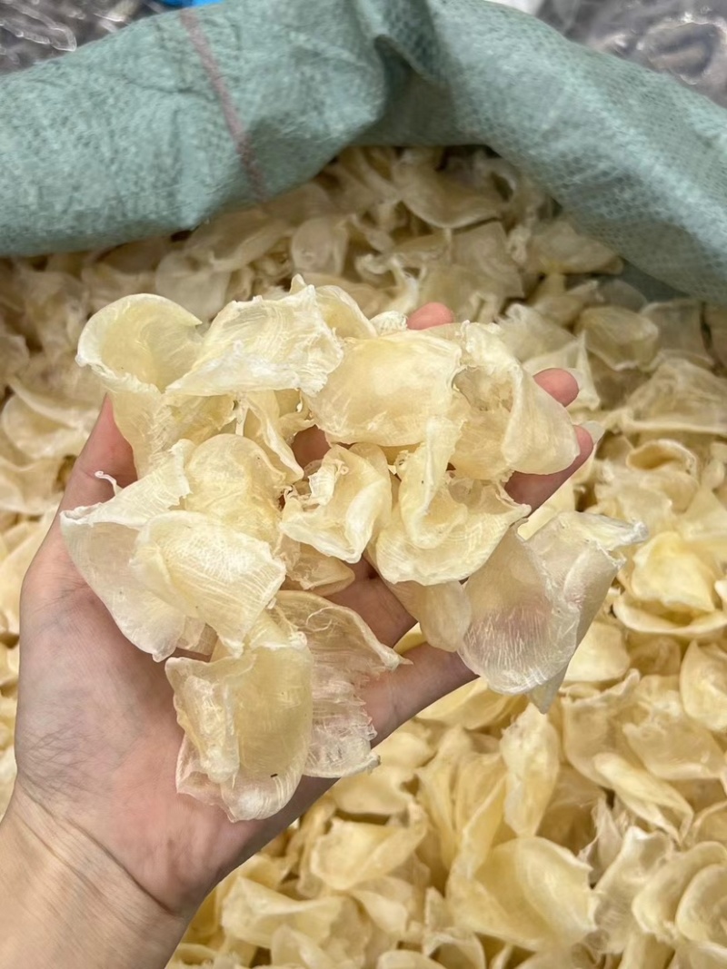 缅甸鸡蛋胶花胶鱼胶批发一手货源火锅店专用花胶清水足干货