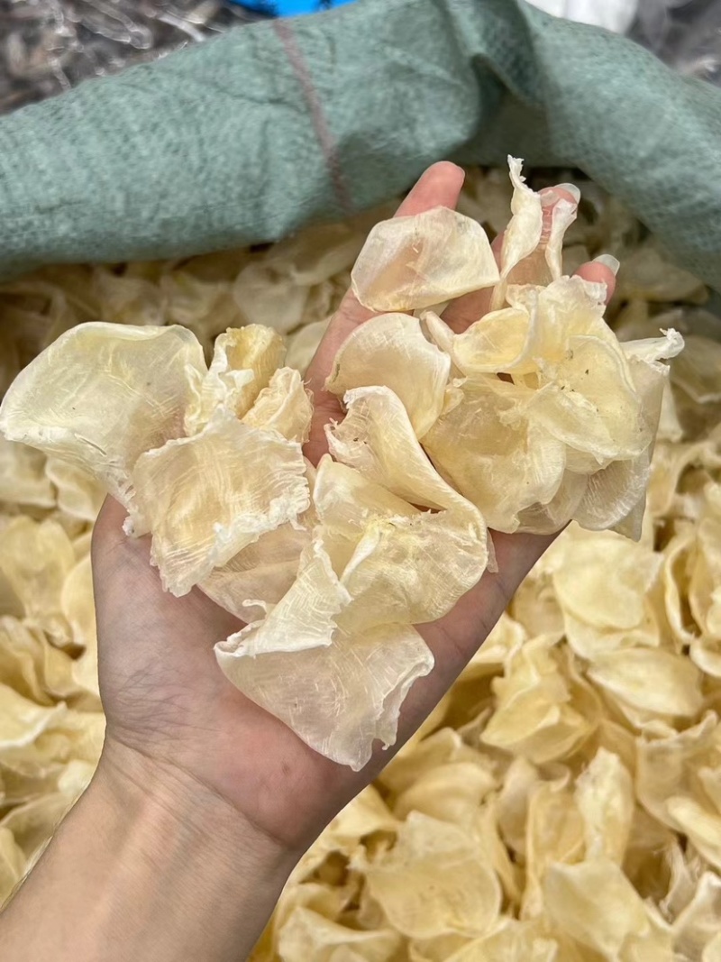 缅甸鸡蛋胶花胶鱼胶批发一手货源火锅店专用花胶清水足干货