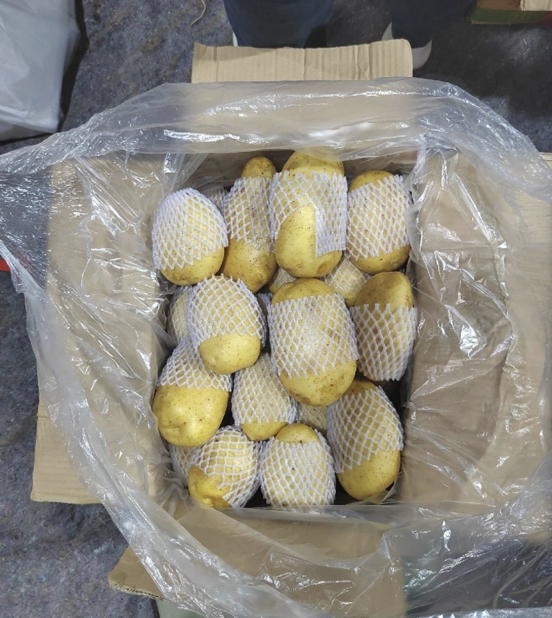 黄心土豆沃土5号湖北土豆实力代发全国商超电商