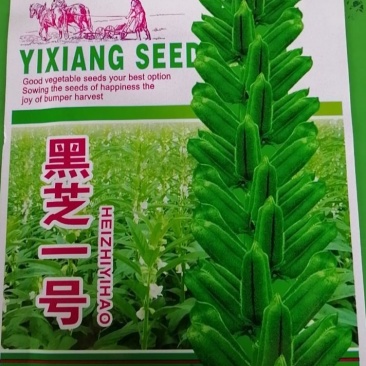 黑芝麻种子