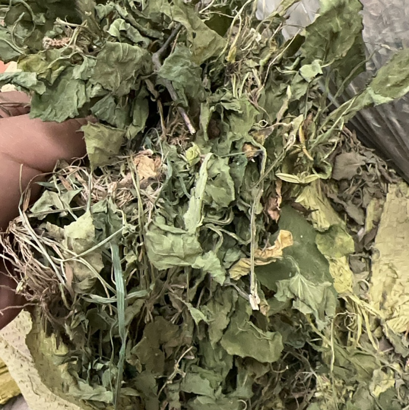陕西紫花地丁茶用紫花地丁中药材紫花地丁苦地丁大货