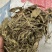 陕西紫花地丁茶用紫花地丁中药材紫花地丁苦地丁大货