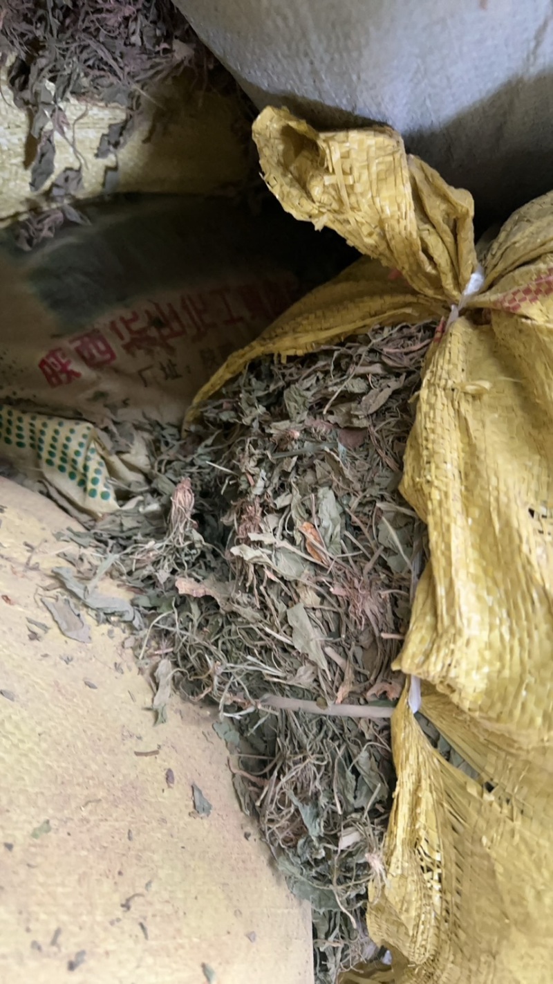 陕西紫花地丁茶用紫花地丁中药材紫花地丁苦地丁大货