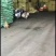 生化黄腐酸钾冲施滴灌喷施全水溶促生长