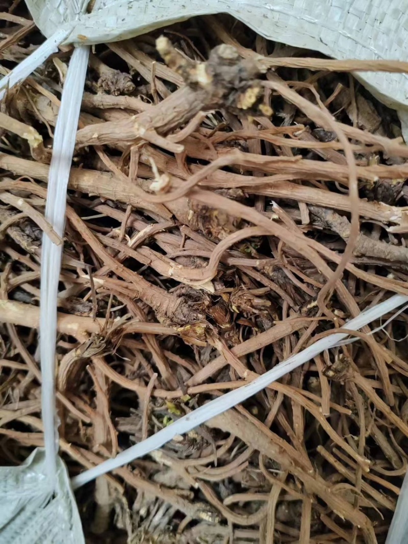 柴胡，北柴胡，甘肃柴胡，药厂柴胡，柴胡各种规格大货