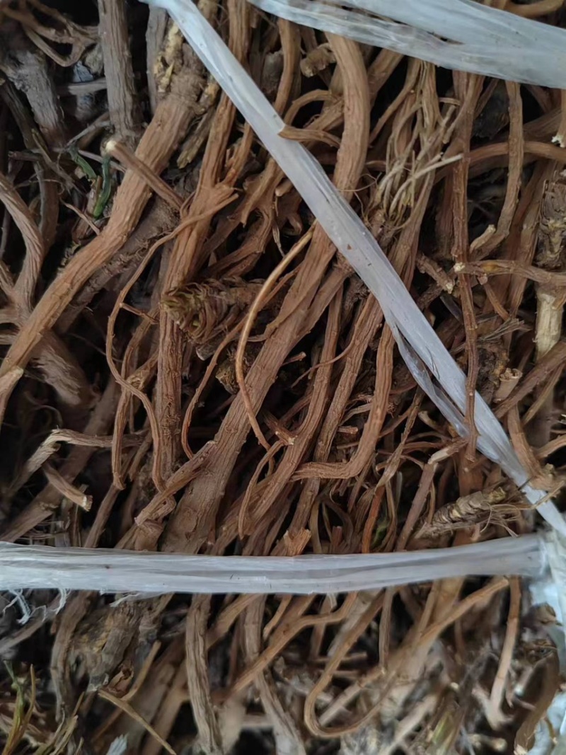 柴胡，北柴胡，甘肃柴胡，药厂柴胡，柴胡各种规格大货