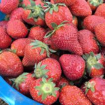 自家种植20亩明星草莓，个大，特别甜，价格便宜