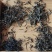 云南野生红茶，欢迎联系各规格都有野韵十足
