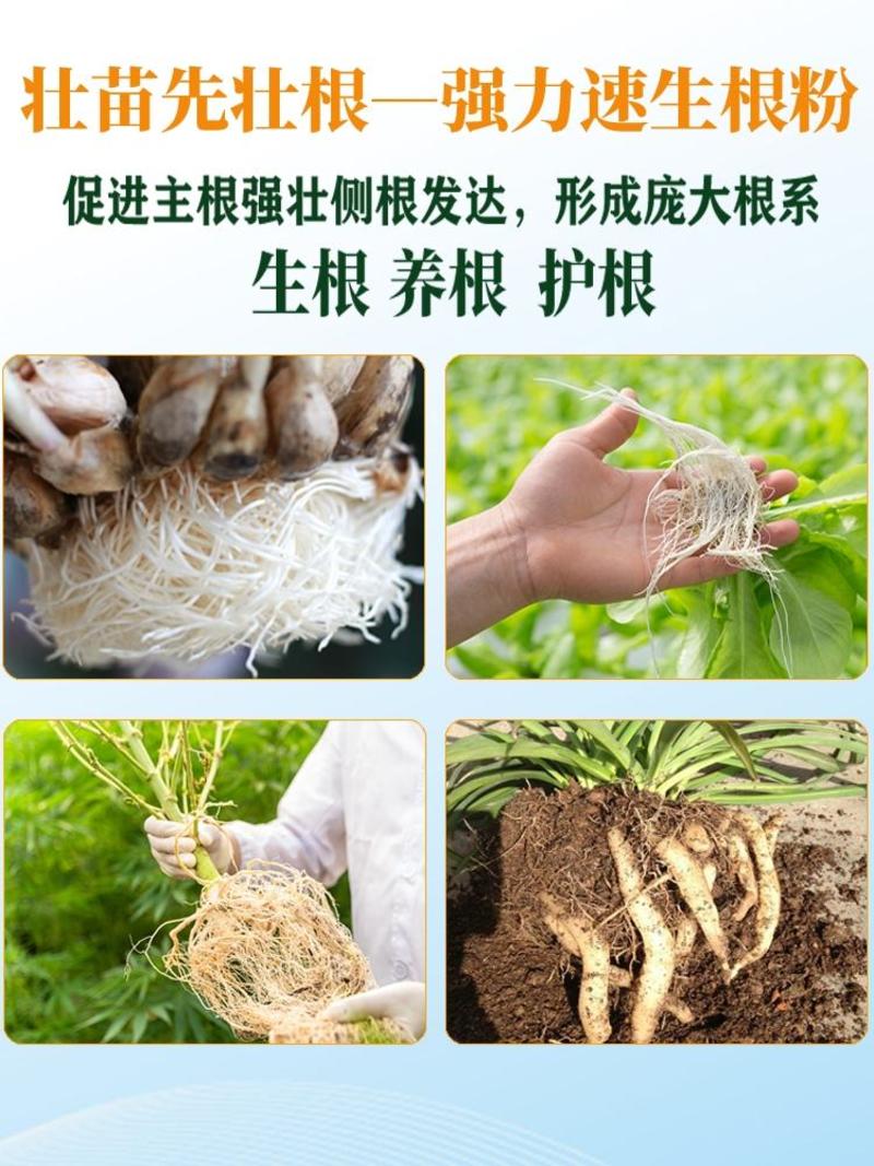 生根粉微生物肥强力速生根生根养根护根改善土壤平衡吸收